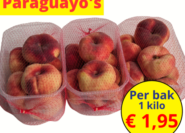 Paraguayo's