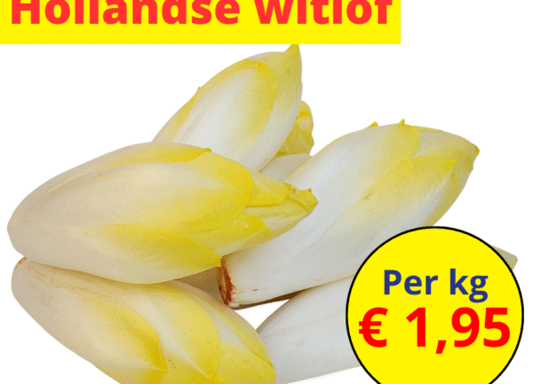 Home 23 Hollandse witlof
