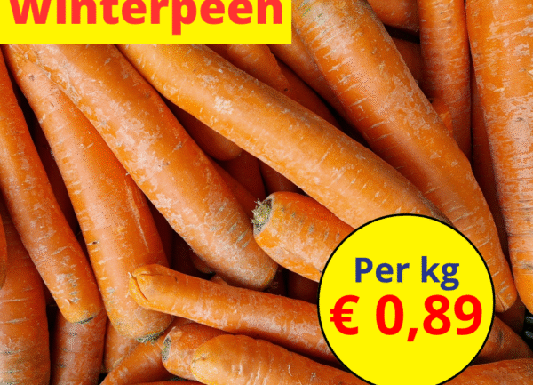 Home 25 Winterpeen