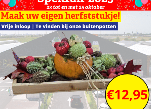 Home 10 herfststukje