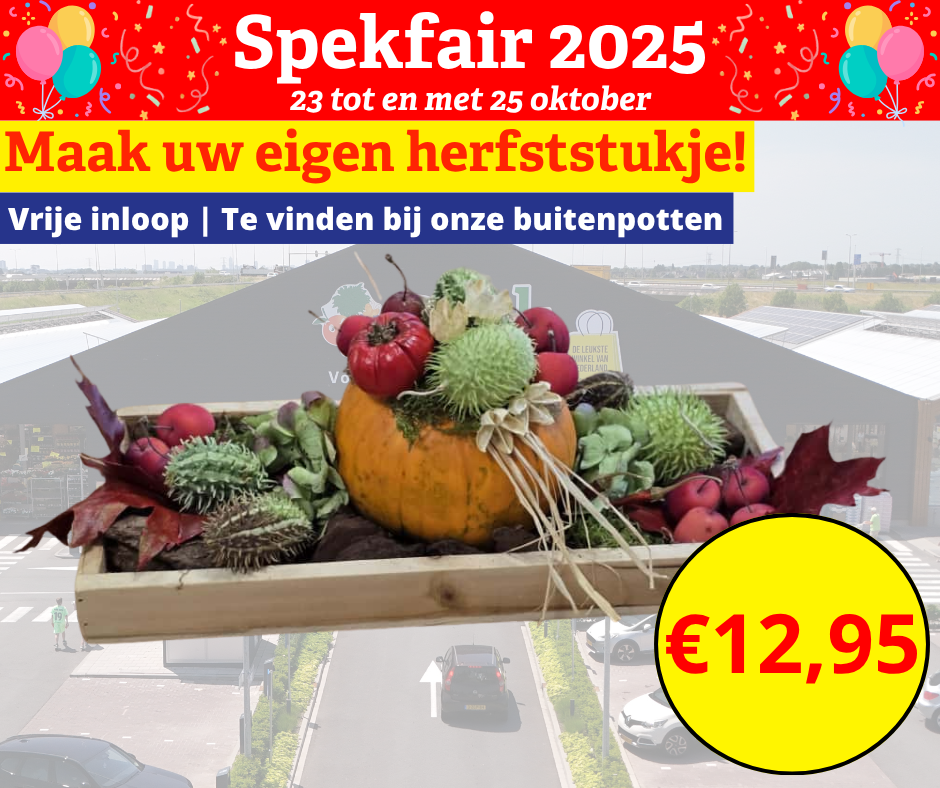 Maak uw eigen herfststukje 1 herfststukje