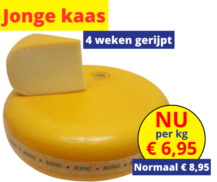 Jonge kaas