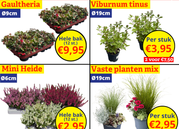 tuinplantenkoopjes