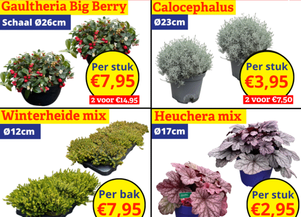 Home 20 tuinplantenkoopjes