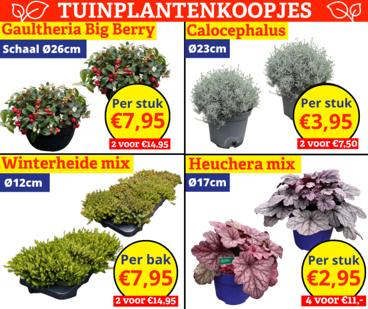 tuinplantenkoopjes