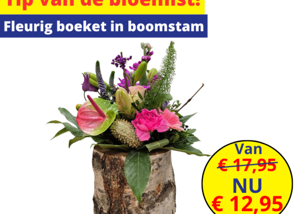 Home 11 tip van de bloemist