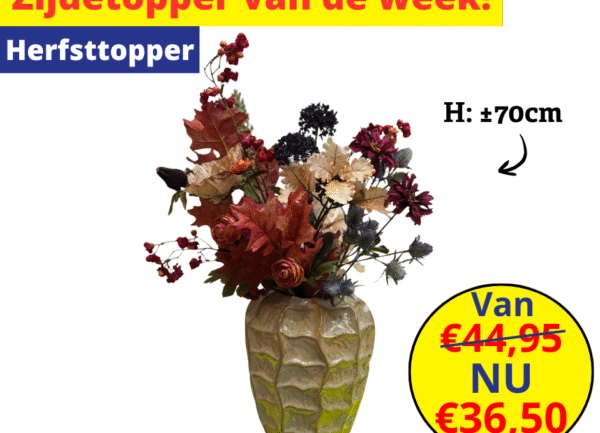 Home 9 zijdetopper