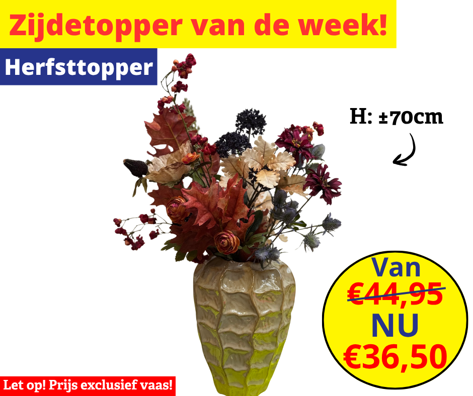 Zijdetopper van de week! 1 zijdetopper