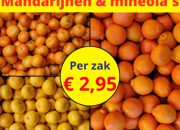 Home 21 Mandarijnen & mineola's