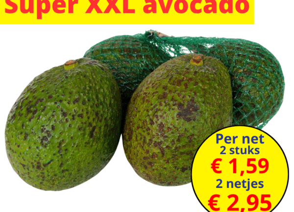 Home 22 Super XXL avocado