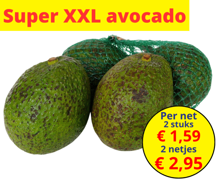 Super XXL avocado