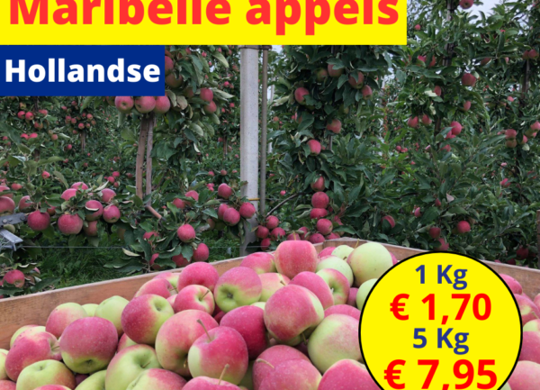 Maribelle appels
