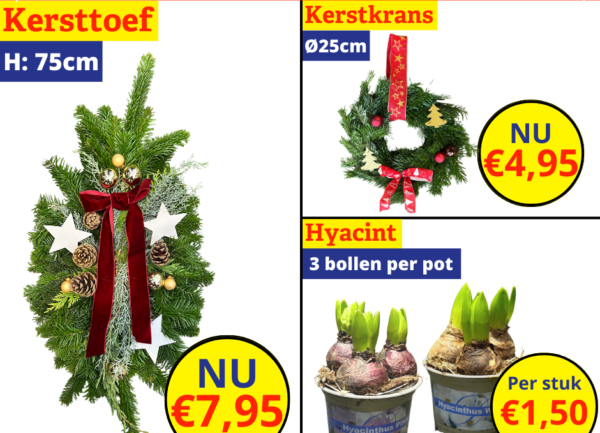 Tuinplanten kerstkoopje