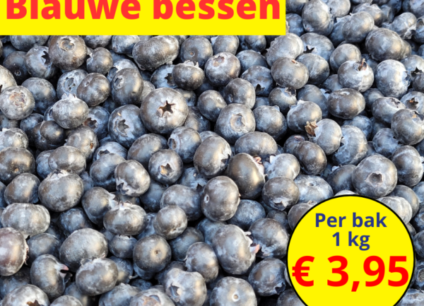 Home 17 Blauwe bessen
