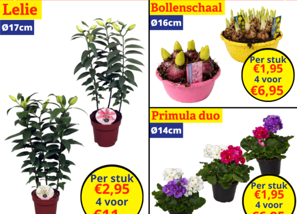 Home 25 tuinplantenkoopjes