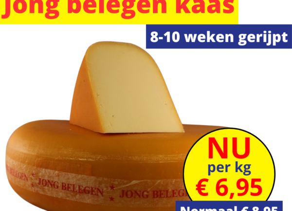 Home 12 Jong belegen kaas