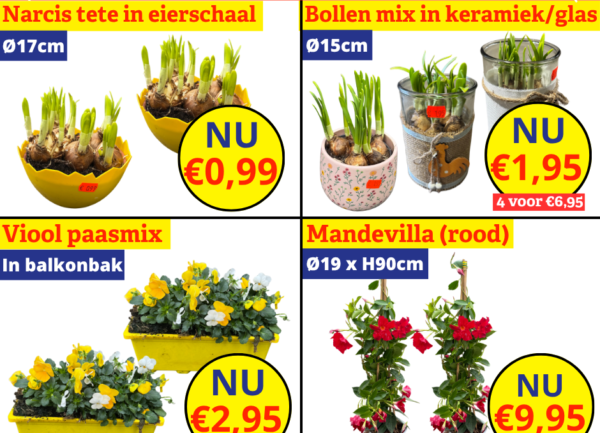 tuinplanten