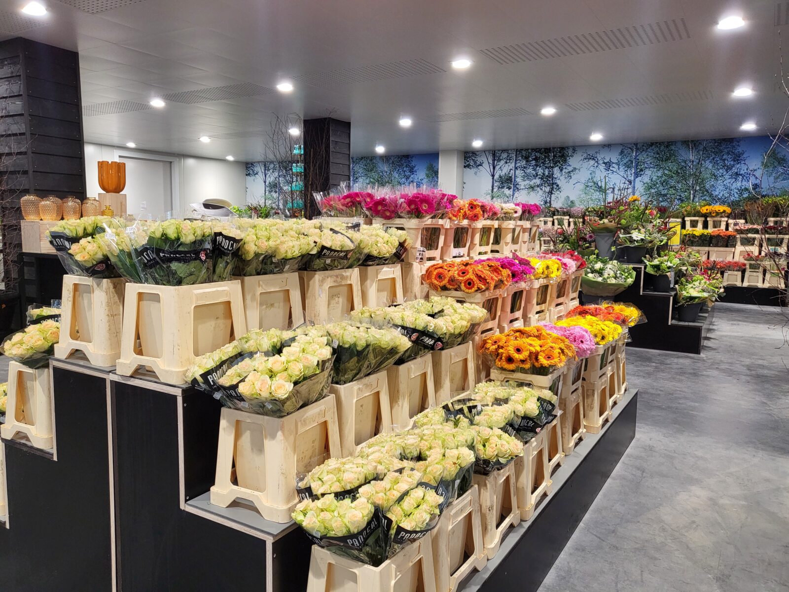 Afbeelding bloembinderij-over - Spekvoordeel.nl