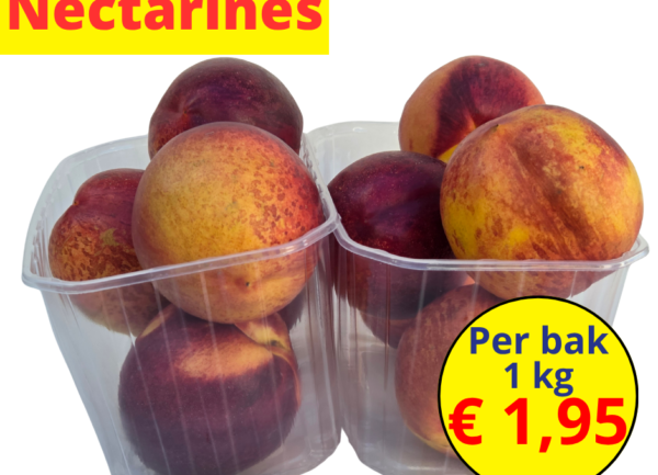 Home 19 Nectarines