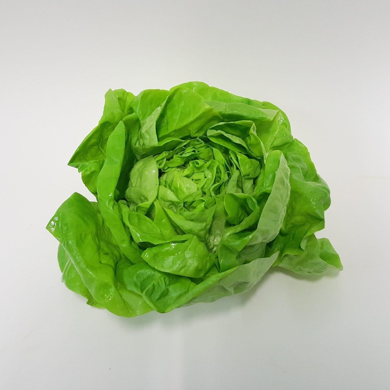 Afbeedling Sla - Spekvoordeel.nl