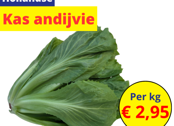 Hollandse kas andijvie