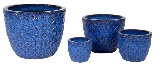 Afbeedling Glazed Egg Pineapple - Spekvoordeel.nl