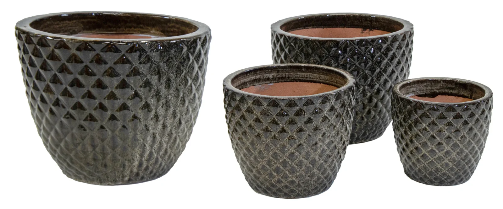 Afbeedling Glazed Egg Pineapple Falling Brown - Spekvoordeel.nl