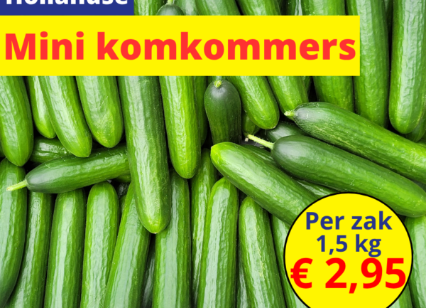 Home 16 Hollandse mini komkommers