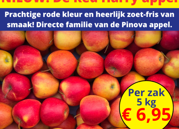 Nieuw! De Red Harry appel