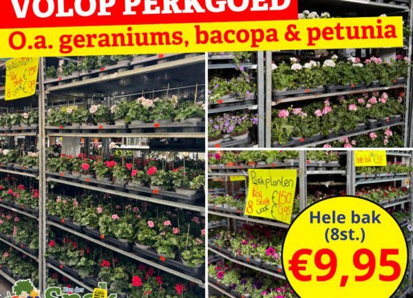 Home 6 Volop perkgoed