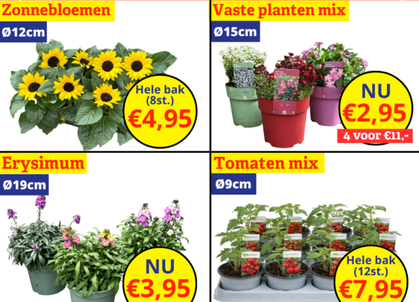 Home 24 Tuinplantenkoopjes