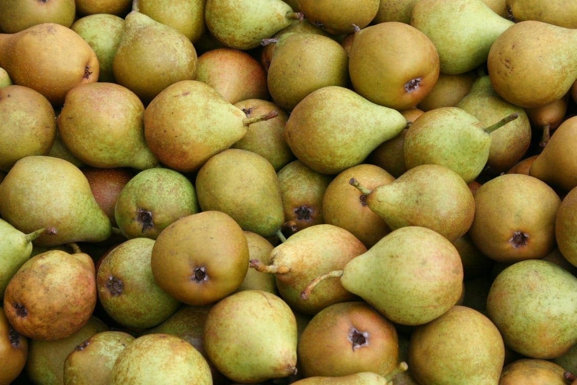 Afbeedling Gieser wildeman stoofperen 5KG - Spekvoordeel.nl