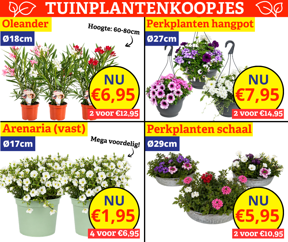 tuinplantenkoopjes