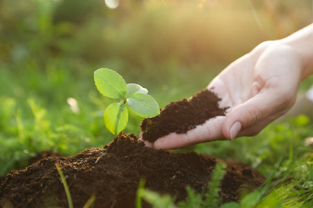 Afbeelding meststoffen-kalk-bodemverbetering - Spekvoordeel.nl