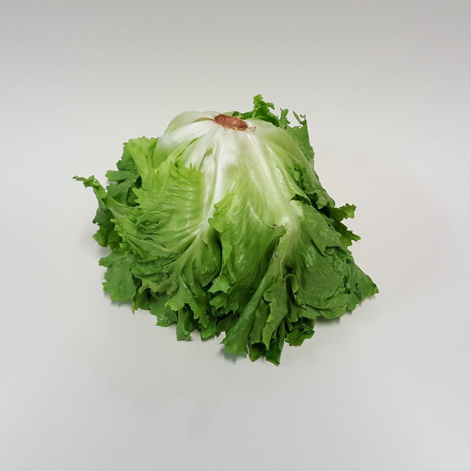 Afbeedling Andijvie - Spekvoordeel.nl