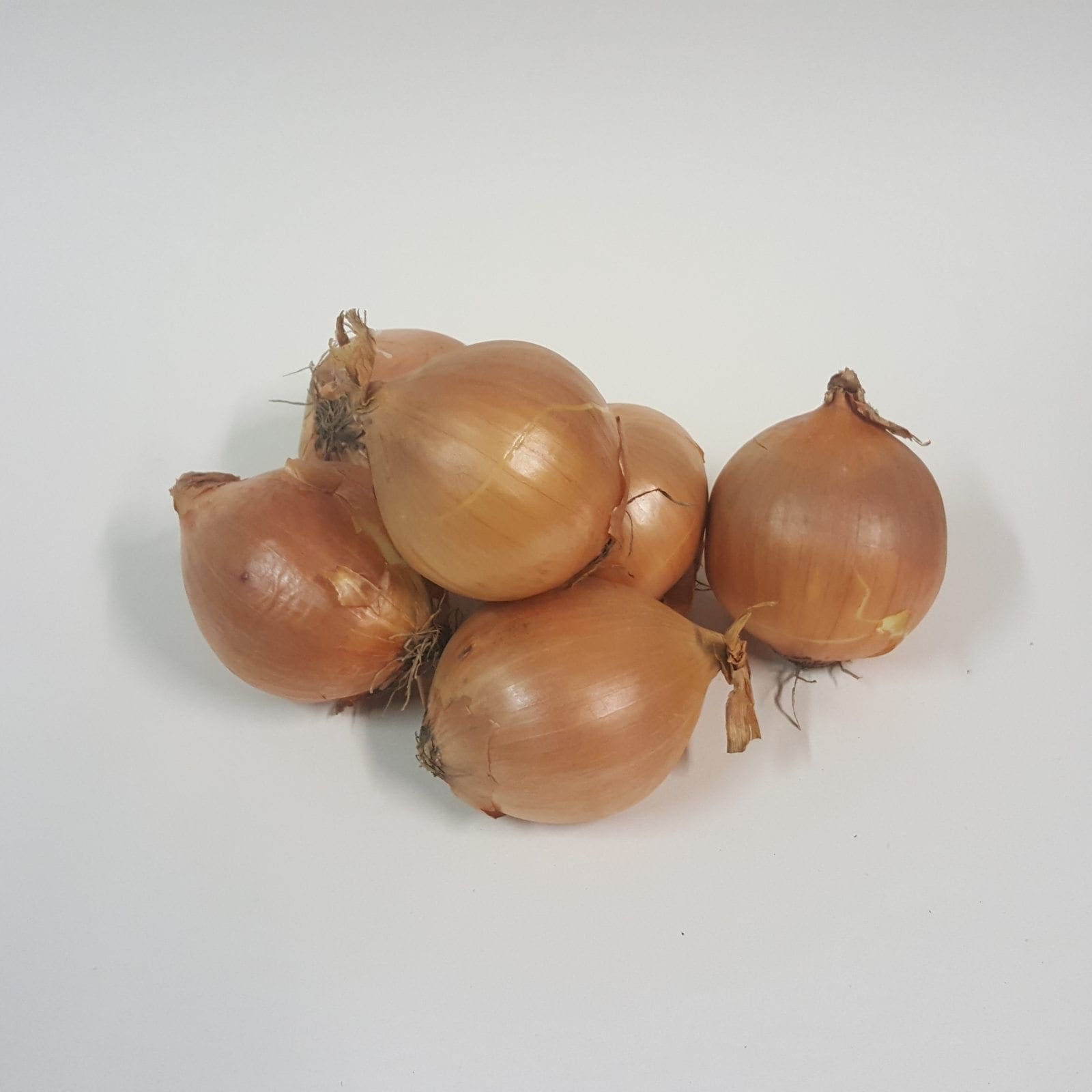 Afbeedling Uien 5KG - Spekvoordeel.nl