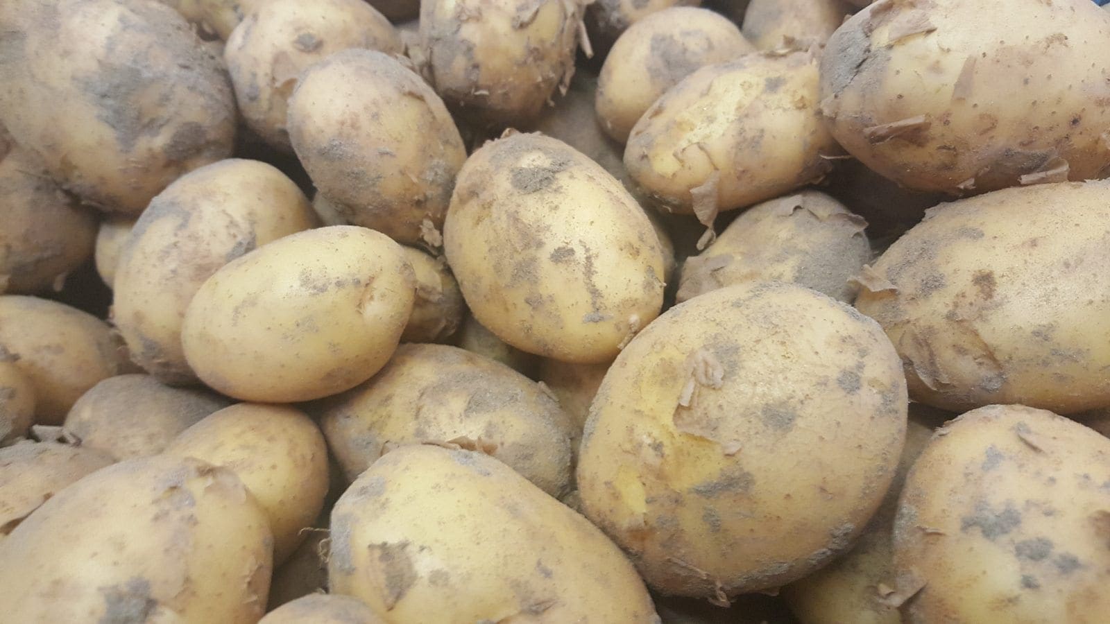 Afbeedling Frieslanders - Spekvoordeel.nl