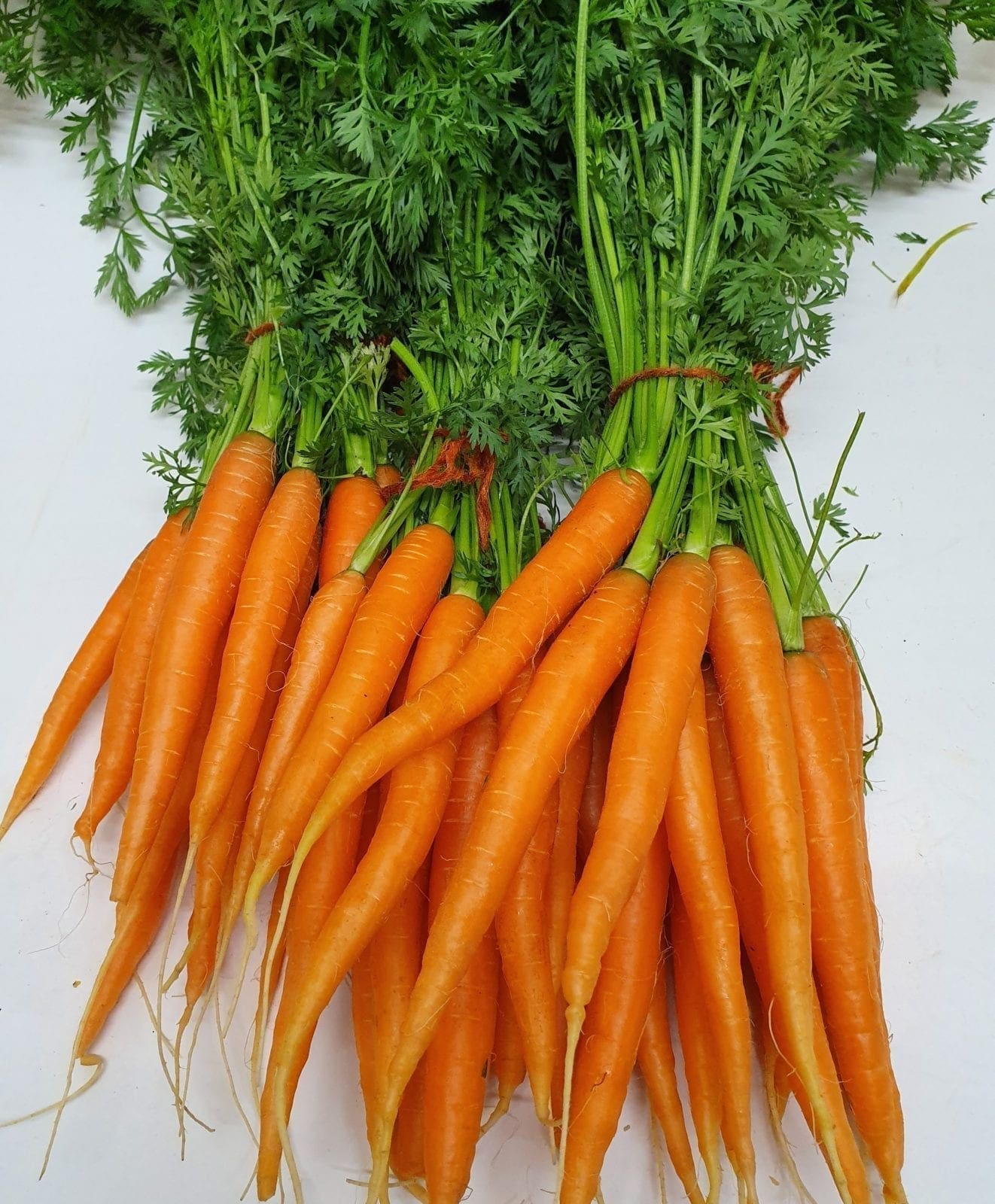 Afbeedling Bospeen - Spekvoordeel.nl