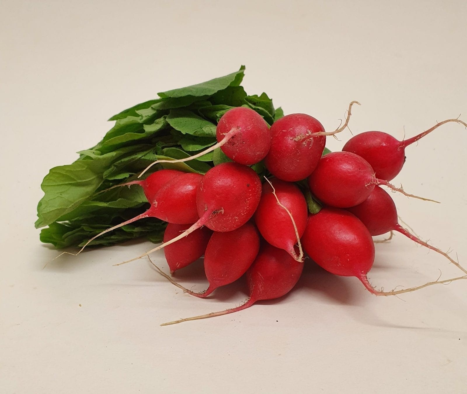 Afbeedling Radijs - Spekvoordeel.nl