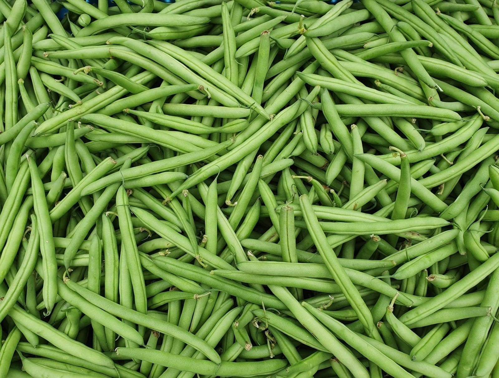 Afbeedling Sperziebonen - Spekvoordeel.nl