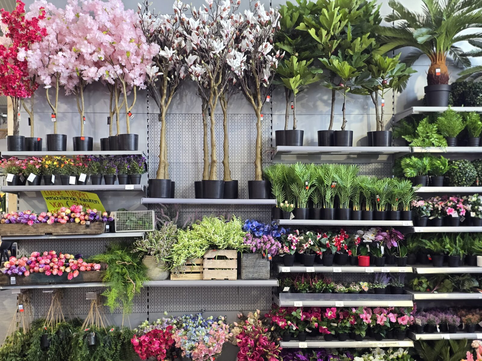 Afbeedling Zijden planten - Spekvoordeel.nl