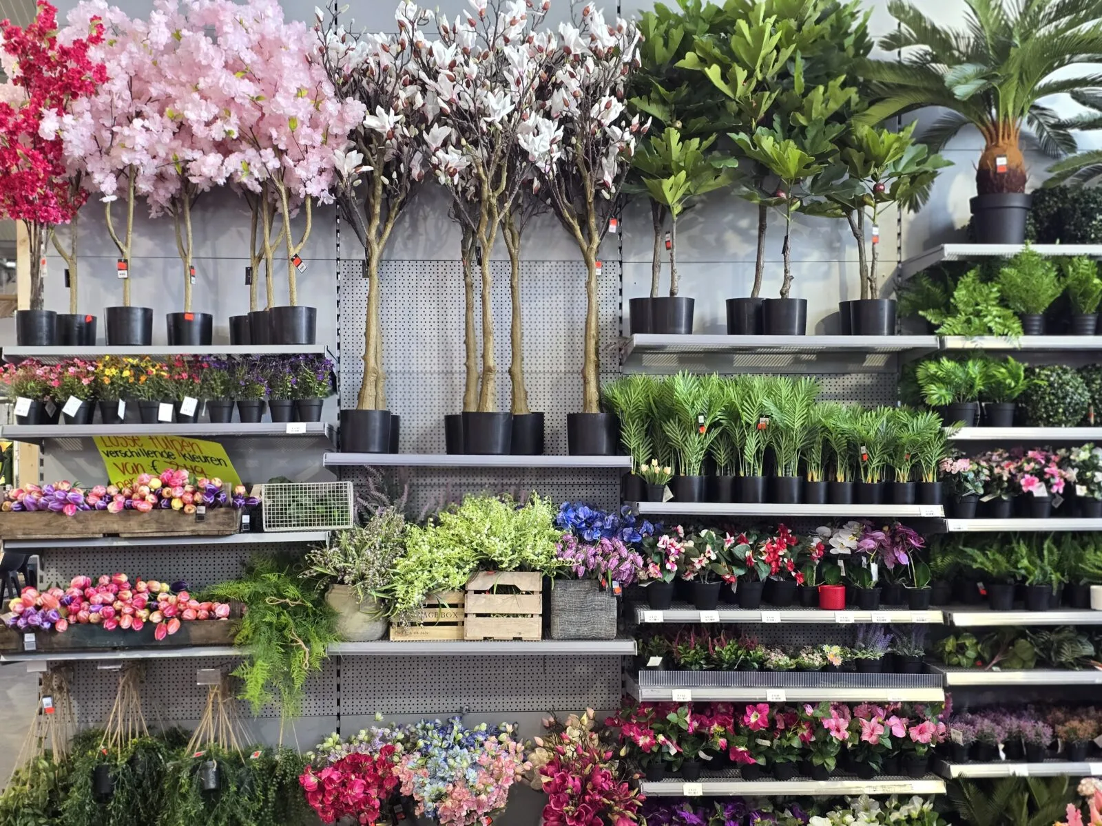 Afbeedling Zijden planten - Spekvoordeel.nl