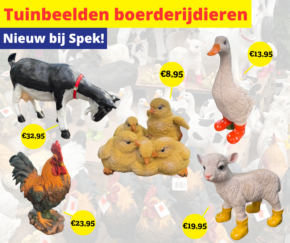 Tuinbeelden