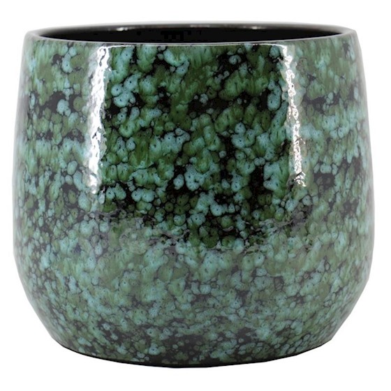 Afbeedling Binnenpot Bejo groen - Spekvoordeel.nl