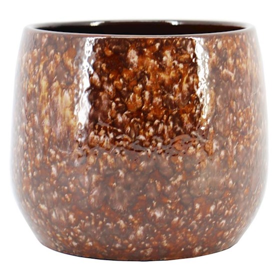 Afbeedling Binnenpot Bejo bruin - Spekvoordeel.nl