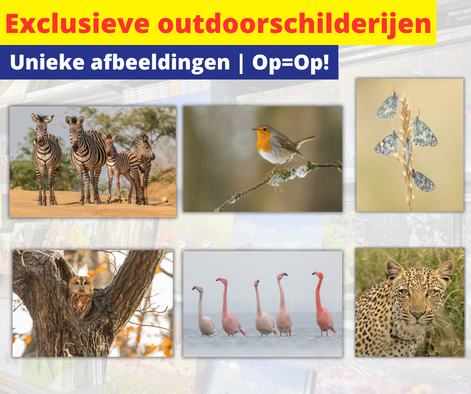 exclusieve outdoorschilderijen