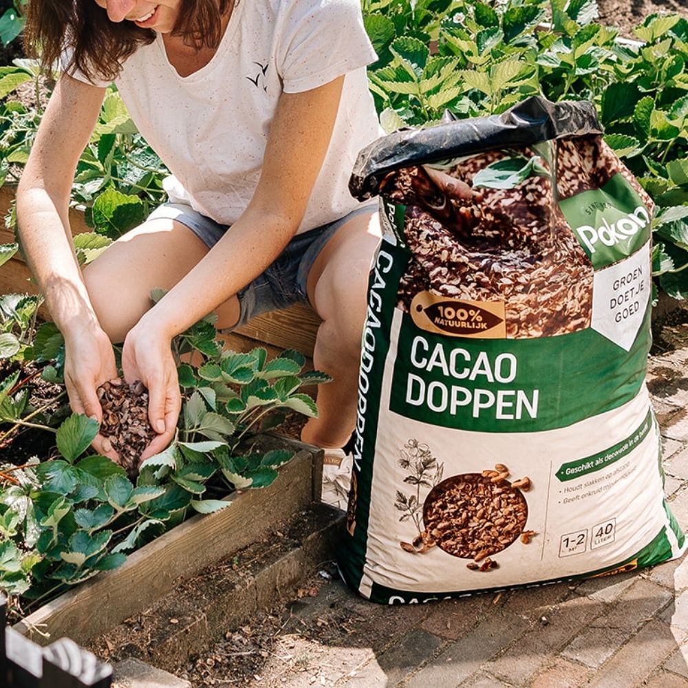 Cacaodoppen 40L - Afbeelding 2