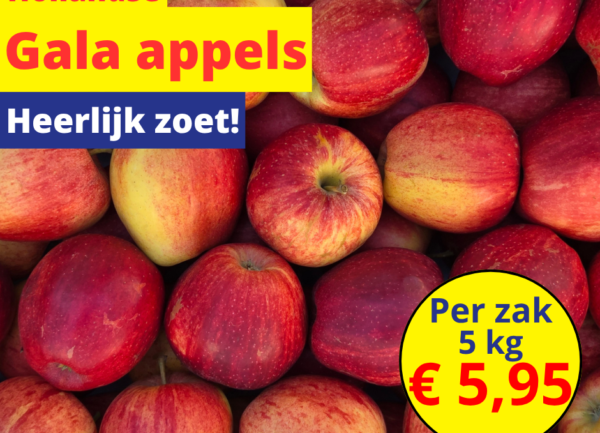 Home 12 Hollandse Gala appels