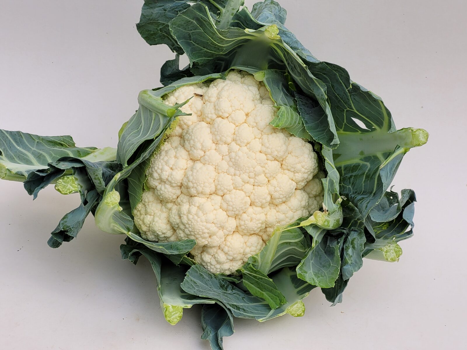 Afbeedling Bloemkool - Spekvoordeel.nl