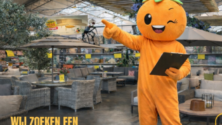 Afbeelding bij Leidinggevende Tuinmeubelen